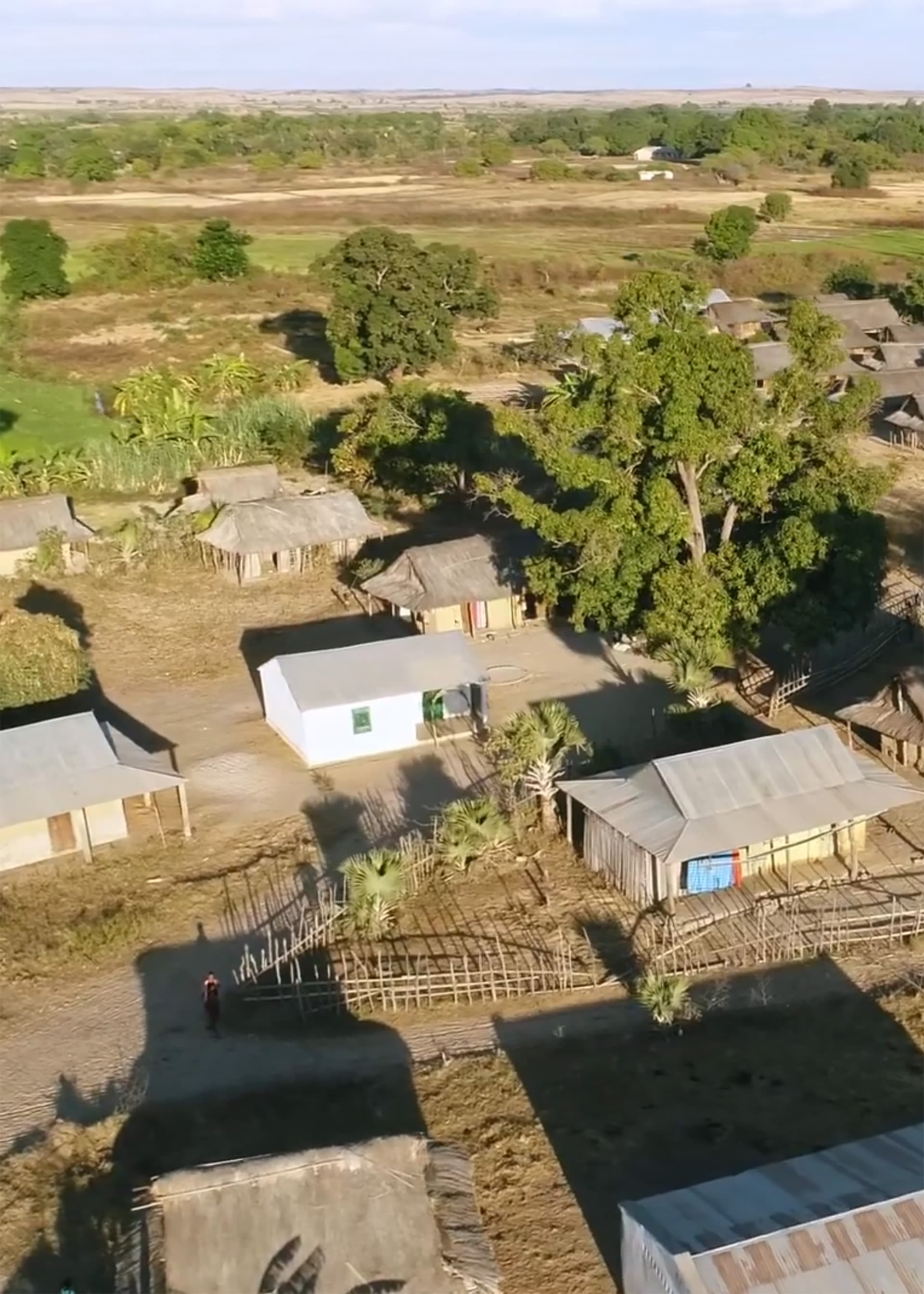 Le raphia, engagement durable